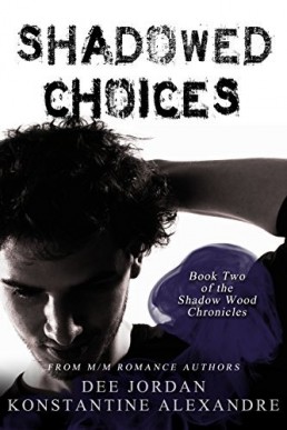 Shadowed Choices (Shadow Wood Chronicles 2)