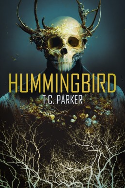 Hummingbird (Hummingbird Universe Book 1)