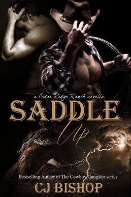 Saddle Up (Cedar Ridge Ranch 1)