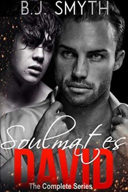 Soulmates: David (Complete series 1-7)