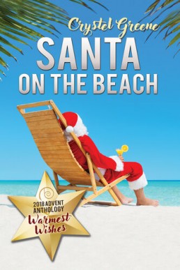 Santa on the Beach (2018 Advent Calendar - Warmest Wishes)