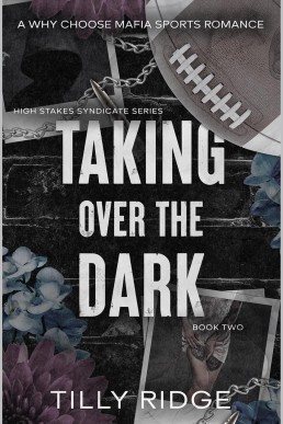 Taking Over the Dark (High Stakes Syndicate 2)