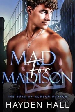 Mad for Madison (The Boys of Hudson Burrow 4)