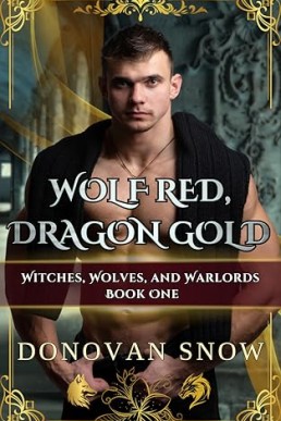 Witches, Wolves, & Warlords (Shifters of Bastion Keep 1)