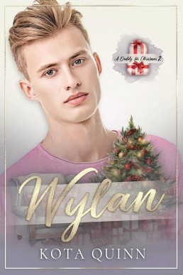 Wylan (A Daddy for Christmas 2)