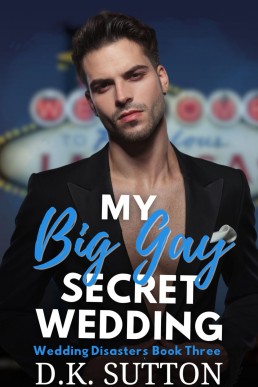 My Big Gay Secret Wedding (Wedding Disasters 3)